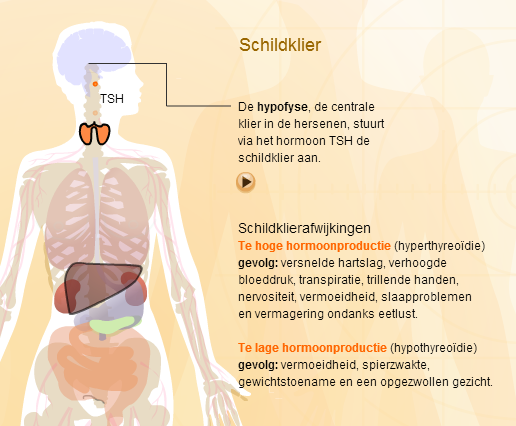 Schildklier ( TSH, Vrij T4 en FT3)